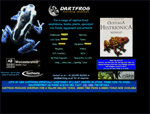 Tablet Screenshot of dartfrog.co.uk